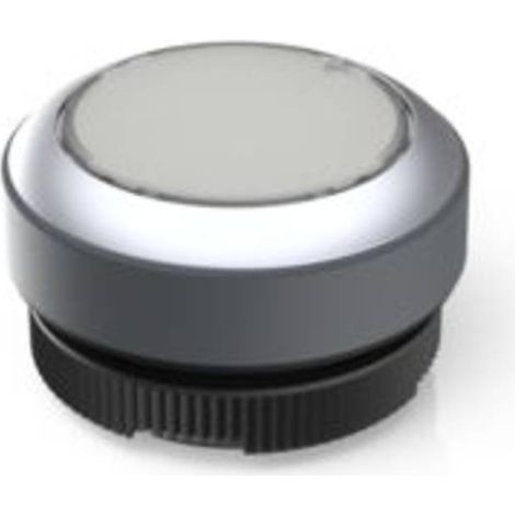 RAFI 1.30.270.921/2200 RAFIX 22 FS Pulsante illuminato Momentaneo (L x L x A) 29.8 x 29.8 x 18.5 mm 1 pz.