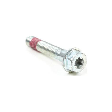 Vite BRIGGS & STRATTON 699484
