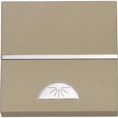 Zenit Poussoir No 2 Modules Avec Symbole Lumiere Champagne 2CLA220420N1901 ABB N2204.2CV