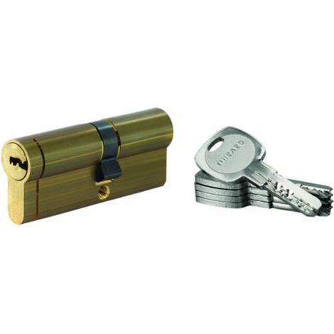 THIRARD - Lot de 10 cylindres Transit 1 double entrée 35x45mm, laitonné, 5 clés - THIRARD (1/5)