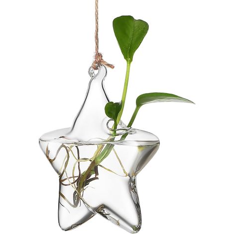 Vase hydroponique Toyvian, décoration intérieure élégante et fonctionnelle, suspendu (1/5)