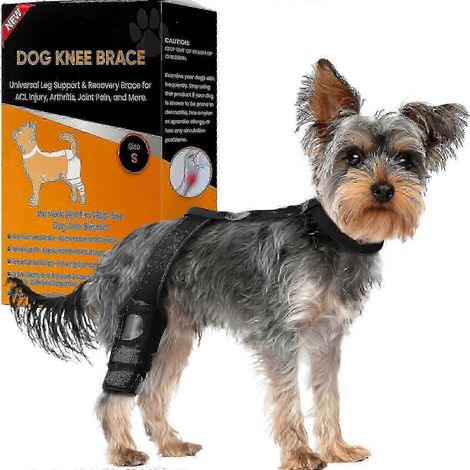 Kniebandage für Hunde, Hinterbeinstabilisator – Unterstützung des Kreuzbandes, Kniebandage bei Verletzungen (1/5)