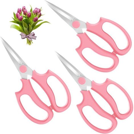 Housolution Ciseaux à Fleurs Pointus, 3PCS, Ciseaux de Jardinage en Acier de Première Qualité Ciseaux à Fleurs, à Fruits et à (1/5)