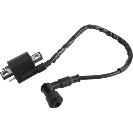 Modifizierter 6-poliger Wechselstromzünder /CG125CC/150CC/200CC/250CC (1/5)