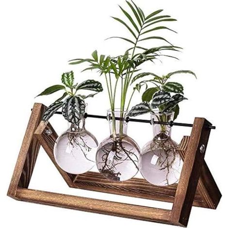 Stazione di propagazione per piante per terrari, 3 vasi sferici in vetro con basi in legno retrò, stazione di propagazione da scrivania boho per idroponica, unica (1/5)