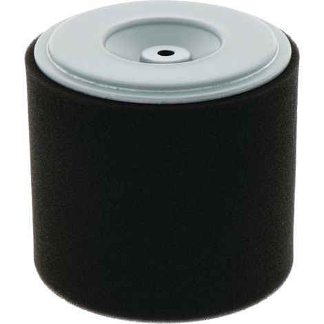 Filtro aria GX 270 T2 17210-Z1C-781, SA12699