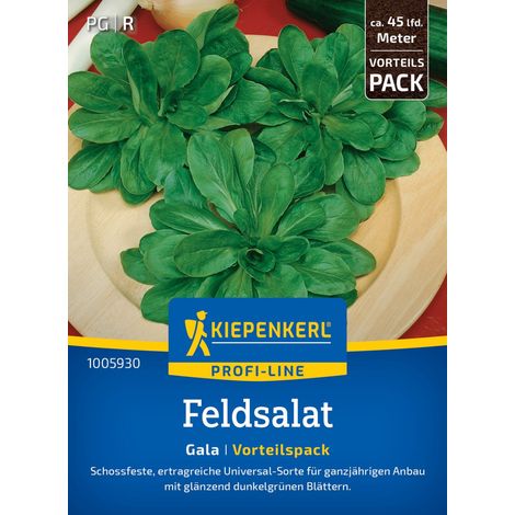 Kiepenkerl Profi-Line Saatgut Feldsalat Gala Vorteilspackung für ca. 4 – 7,5 m² (1/2)