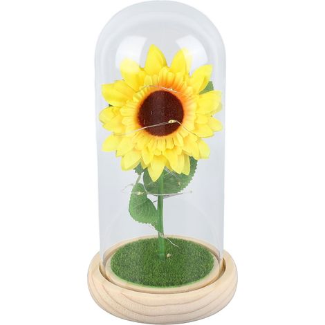 Ortviai Bouquet de Tournesols Éternels avec Dôme en Verre et Éclairage LED – Décoration Lumineuse pour Intérieur (1/5)