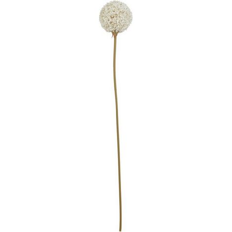 The Natural Garden Collection Allium (Single Stem Flower) - Plastic - Height 66 cm - White