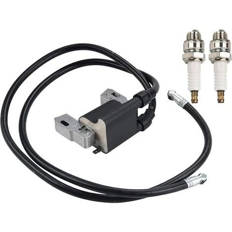 Lot de 2 modules de bobine d'allumage compatibles avec moteurs à double cylindre en L 16-18HP, remplace 394891, 590781, 392329, 394895 et 394988. (1/5)