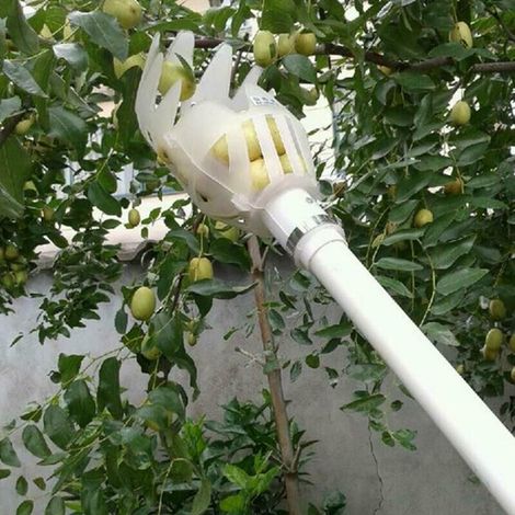 Tête de cueillette de fruits en plastique, panier profond, cueilleur de fruits, cueilleur de pommes et de pêches, ferme, jardin, dispositif de cueillette en plastique, République tchèque, (Blanc) (1/5)