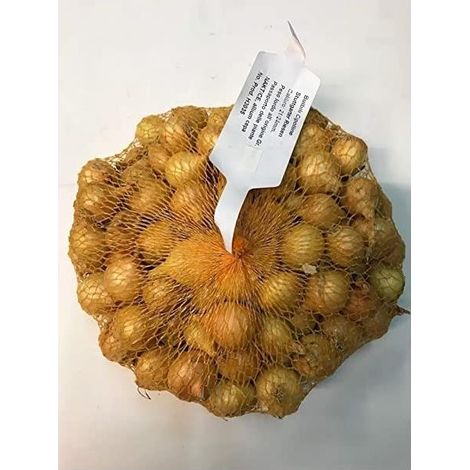 FRANCHI - Cipolla Dorata in Bulbi 500 gr