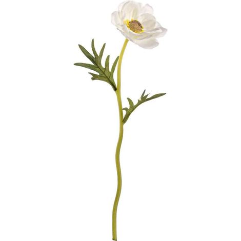 Anémona blanca 30cm (1/2)