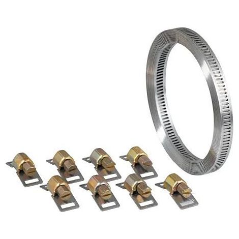 Collare a Banda Senza Fine + 8 Teste W2 Inox / Acciaio Zincato - 3 M - 8 mm - Capo Verde