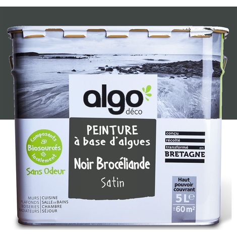 Peinture écologique Algo - Satin - Noir Brocéliande - 5L (1/5)