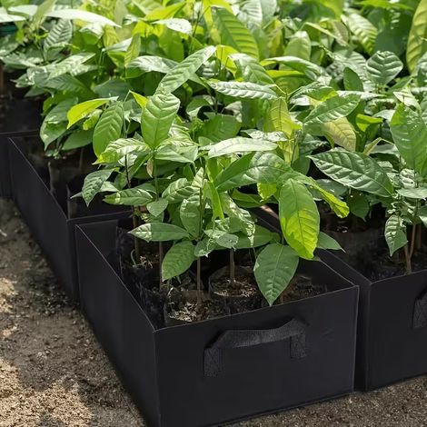 2 sacs de plantation multifonctionnels de grande capacité avec poignée (1/5)