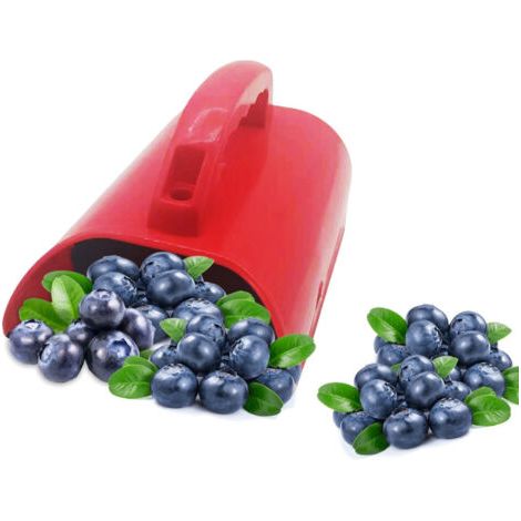 Attrezzo per la raccolta delle ciliegie - Attrezzo per la raccolta di frutta con manico ergonomico e pettine rastrello per raccogliere frutta e foglie in giardino. (1/5)