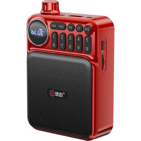 Mini radio FM portable avec écran LED, récepteur radio numérique, haut-parleur Bluetooth rechargeable, enregistreur, compatible carte TF, prise casque USB 3,5 mm. (1/5)