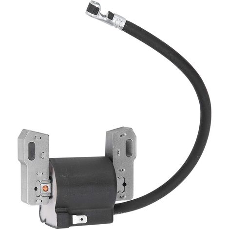 Bobina di accensione ad alta tensione durevole, pacco di accensione ad alta tensione per Briggs & Stratton 691060 592846 799651 (1/5)