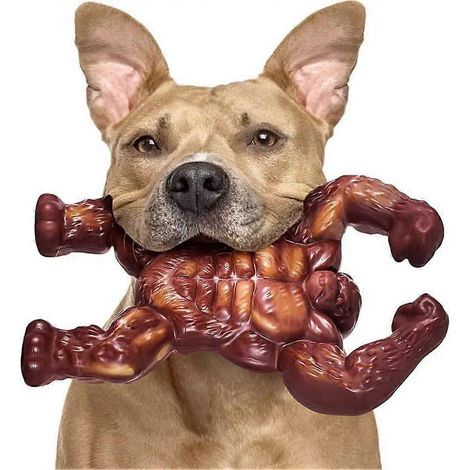 Unzerstörbare Kauspielzeuge für große Hunde in Gorillaform, robust und langlebig. Ideal als Geschenk. (1/5)