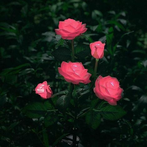 Lampes solaires à LED en forme de roses artificielles pour extérieur, décoration de jardin, cour, patio, tombe, cimetière, balcon, décoration de Noël – Rose (1/5)
