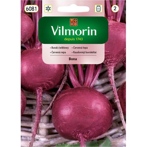 Semi di Barbabietola BONA medio tardiva 10g VILMORIN GARDEN