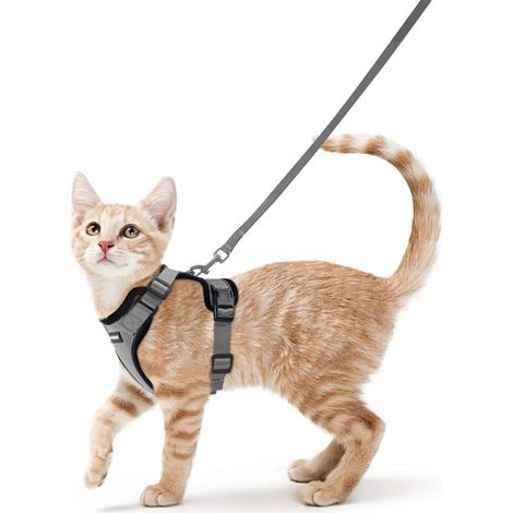 Harnais Chat Petit Chien Laisse Harnais Chaton Réglable Rose XS Collier Harnai Chat Refléchissant Gilet Respirant pour Lapin, Chat Européen, Maine Coon, Persan, Attache Dessus avec Laisse (1/5)