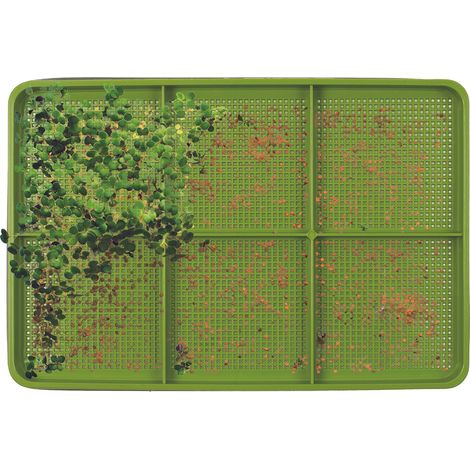 Germoir à Graines - COOK CONCEPT - 6 Compartiments - Vert et Transparent (1/5)