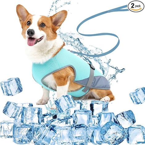 Gilet rafraîchissant pour chien, veste respirante pour chien, harnais de refroidissement pour animal de compagnie, gilet frais d'été pour activités d'intérieur et d'extérieur pour chiens de (1/5)