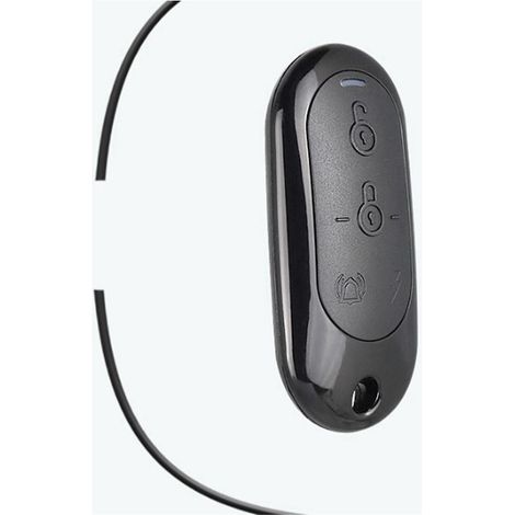 Copie universelle de porte de garage électrique, copie de 4 clés, copie d'accès à la porte de voiture, télécommande sans fil (1/5)