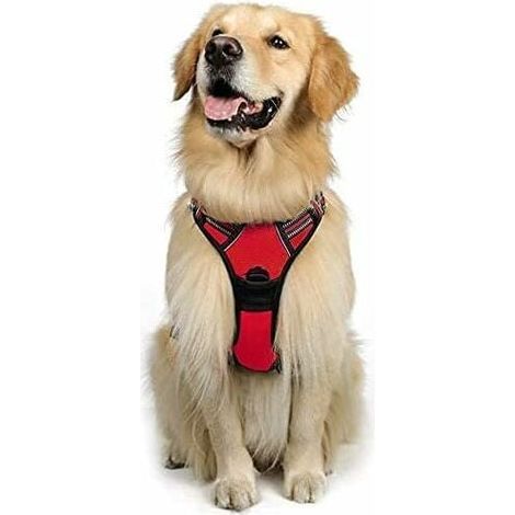 Harnais Chien L Arnais Rouge Anti Traction Réfléchissant Gilet Réglable pour Chien Grand Taille, Attache Devant Crochet de Laisse pour Randonnée Trajet Voiture, American Staff, Border Collie-Ensoleill (1/5)