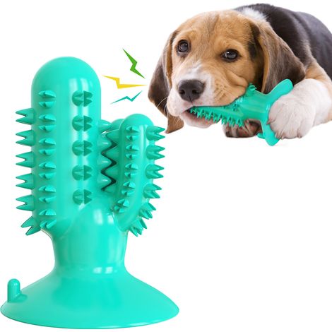 Brosse à dents pour chien Cactus Bâton de meulage et de nettoyage pour chien Fuite de nourriture Anti-morsure Fournitures pour jouets Fournitures pour animaux de compagnie(Lac bleu) (1/5)