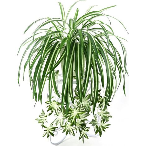 Plante artificielle Chlorophytum suspendue au mur, PVC vert, 65 cm, décoration de salon, simulation de fleur artificielle, origine rotin : Chine (1/5)