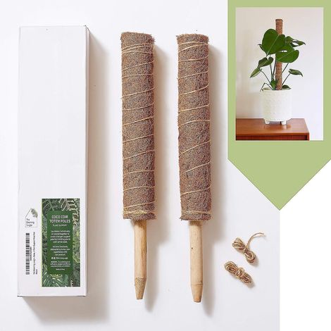 Ensemble de tuteurs en mousse de jungle fleurie - 2 tuteurs extensibles de 50 cm en fibre de coco pour guider la croissance verticale des plantes d'intérieur (1/5)