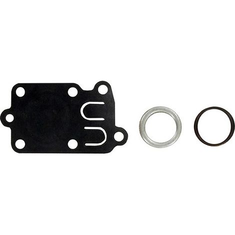 Kit membrane et ressort pour moteur thermique – Joint adaptable BRIGGS ET STRATTON – 270026