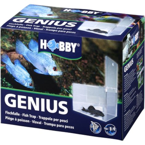 Hobby Genius Fischfalle, 21x13x15 cm