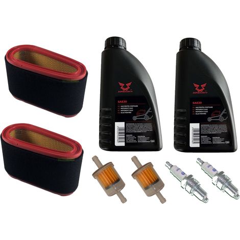 Bougie + filtre + huile SAE30 pour Alpina AT5 84 AT7 102 BT 98 HC SD C108 18550199 (1/5)