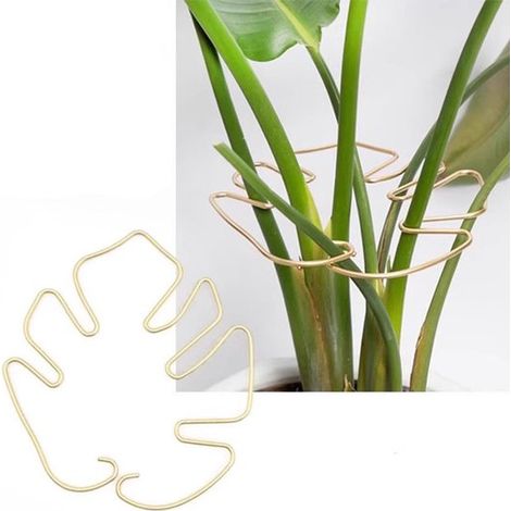 Support pour plantes - Support annulaire - Support pour plantes grimpantes - Ancrage pour plantes - Support en métal - 16 x 18 cm - Doré - Métal (1/5)