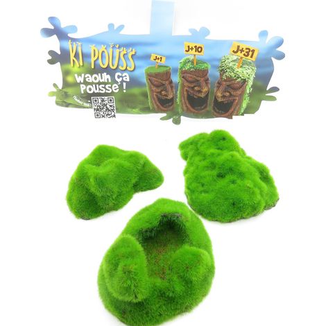 lot de 3 Galets ki pouss, 6.7 x 9.4 x 3 cm décoration aquarium - animallparadise (1/5)