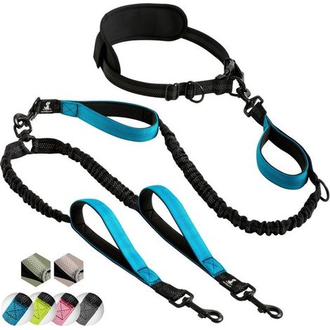 Doppelleine für Hunde Freihändig Für 2 Hunde Gepolsterte Griffe Reflektierend Knotenfrei & Ziehfrei Für mittelgroße und große Hunde Blau (1/4)