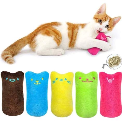 Plüsch-Plüsch-Chats, die sich auf den Chat-Bereich beziehen