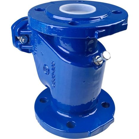 Grundfos Rückschlagklappe DN 65, PN 10, Grauguss (1/2)