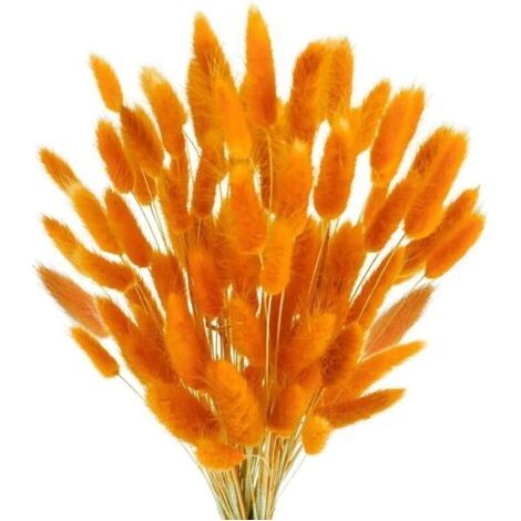 Bardusch-120 fleurs séchées orange style bohème, matières premières coupables librement pour salon, bureau (1/5)