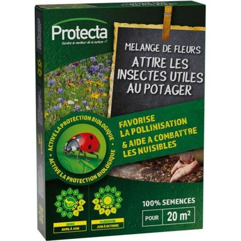 Mélange de fleurs - Attire les insectes utiles au potager - 50g