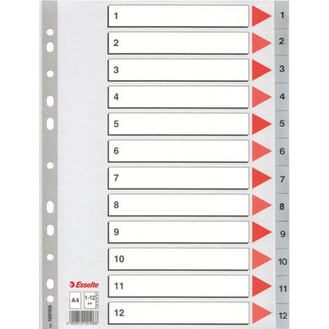 Esselte Plastic indexes
