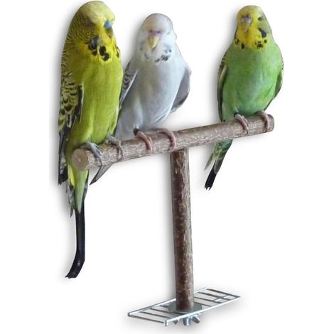 Accessoire en bois pour cage à oiseaux, sous forme d'aide au vol faite à la main (1/5)