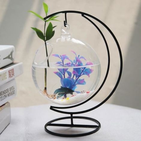Boule Verre Suspendue - Aquarium Créatif - Support Métal - Décoration Maison - 10x15cm (1/4)