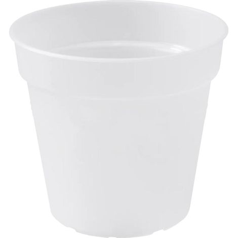 Pot Orchidée Transparent Elho Transparence Pour Racines Saines - Elho (1/4)