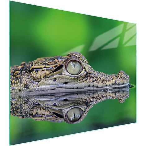 Glasschneidebrett 52x40 Krokodil