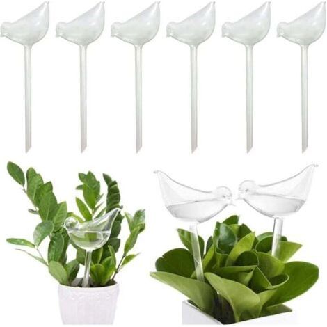 BUNTHAUS PA 6 Boules d'Arrosage en Verre Transparent Système Autonome pour Plantes Intérieur Extérieur (1/4)